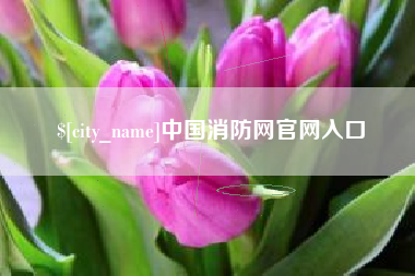 高唐中国消防网官网入口