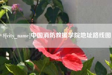 高唐中国消防救援学院地址路线图