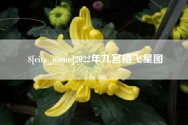 高唐2022年九宫格飞星图