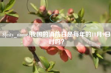 高唐我国的消防日是每年的11月9日对吗？