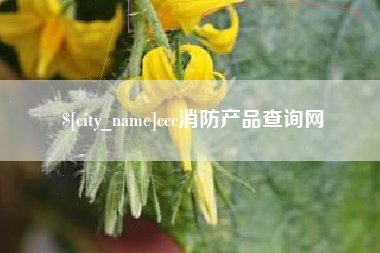 高唐ccc消防产品查询网