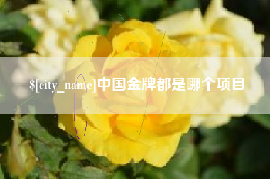 高唐中国金牌都是哪个项目