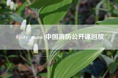 高唐中国消防公开课回放