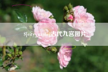 高唐古代九宫图片
