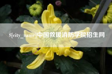 高唐中国救援消防学院招生网