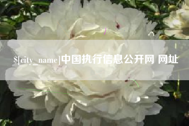 高唐中国执行信息公开网 网址