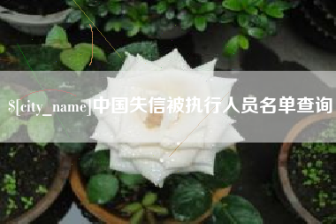 高唐中国失信被执行人员名单查询