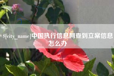 高唐中国执行信息网查到立案信息怎么办