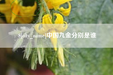 高唐中国九金分别是谁