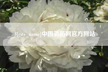 高唐中国消防网官方网站