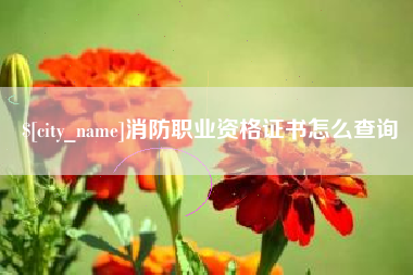 高唐消防职业资格证书怎么查询
