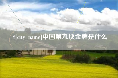 高唐中国第九块金牌是什么