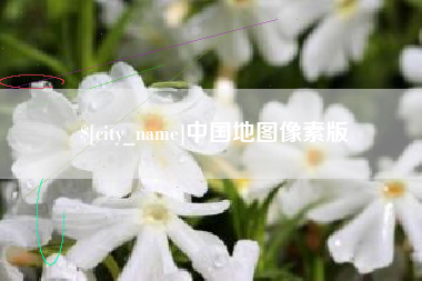 高唐中国地图像素版