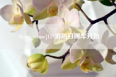 高唐119消防日哪年开始