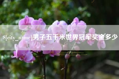 高唐男子五千米世界冠军奖金多少