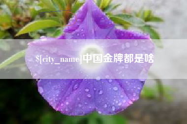 高唐中国金牌都是啥