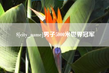 高唐男子5000米世界冠军