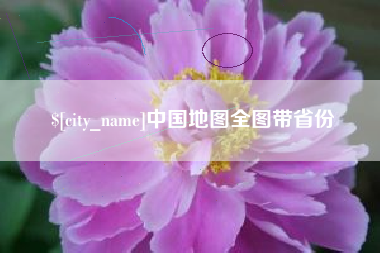 高唐中国地图全图带省份