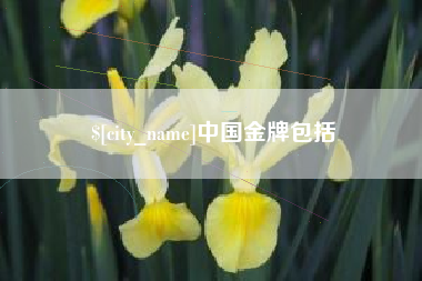 高唐中国金牌包括