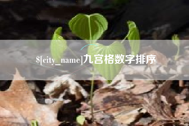 高唐九宫格数字排序