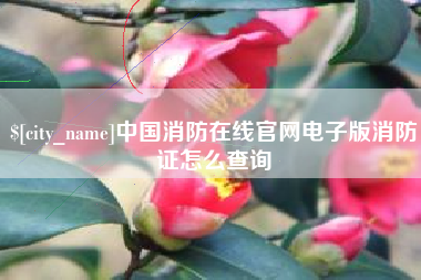 高唐中国消防在线官网电子版消防证怎么查询