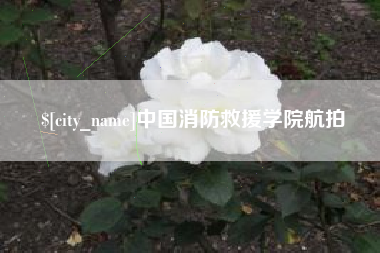 高唐中国消防救援学院航拍