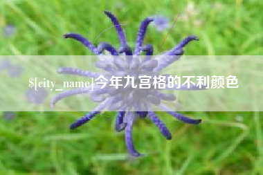 高唐今年九宫格的不利颜色