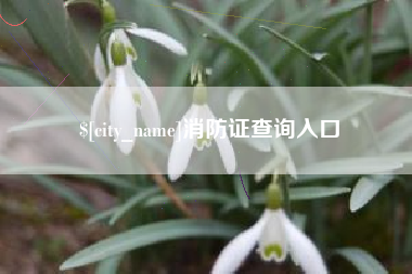 高唐消防证查询入口