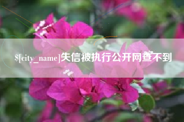 高唐失信被执行公开网查不到