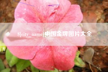 高唐中国金牌图片大全