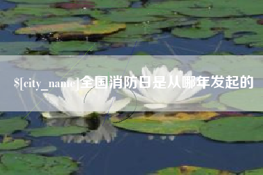 高唐全国消防日是从哪年发起的