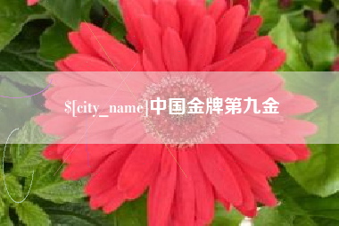 高唐中国金牌第九金