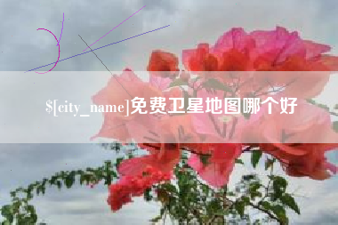 高唐免费卫星地图哪个好