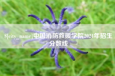 高唐中国消防救援学院2024年招生分数线