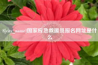 高唐国家应急救援员报名网址是什么
