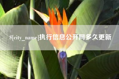 高唐执行信息公开网多久更新