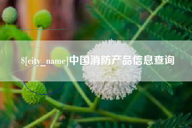高唐中国消防产品信息查询