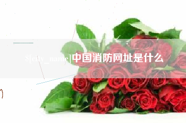 高唐中国消防网址是什么
