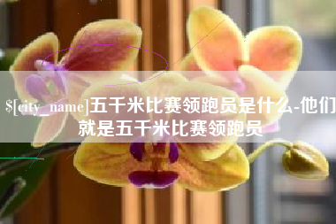高唐五千米比赛领跑员是什么-他们就是五千米比赛领跑员
