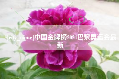 高唐中国金牌榜2024巴黎奥运会最新