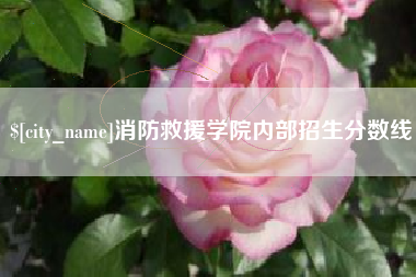 高唐消防救援学院内部招生分数线
