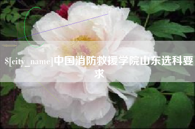 高唐中国消防救援学院山东选科要求