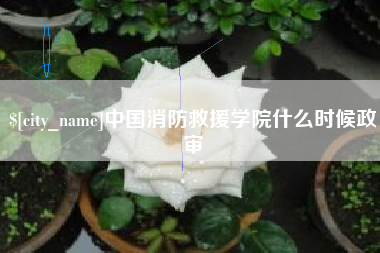 高唐中国消防救援学院什么时候政审
