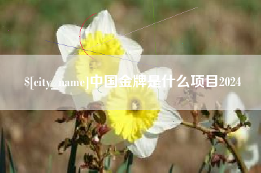 高唐中国金牌是什么项目2024