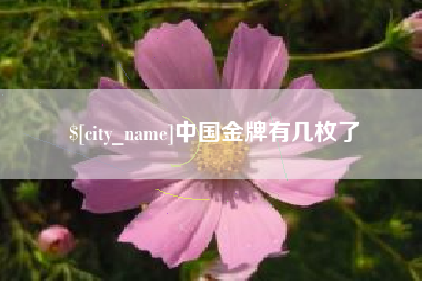 高唐中国金牌有几枚了