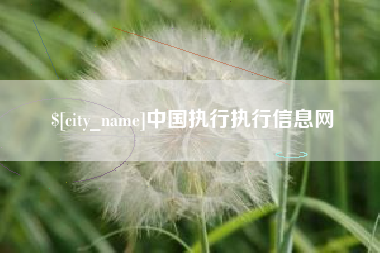 高唐中国执行执行信息网