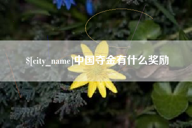 高唐中国夺金有什么奖励