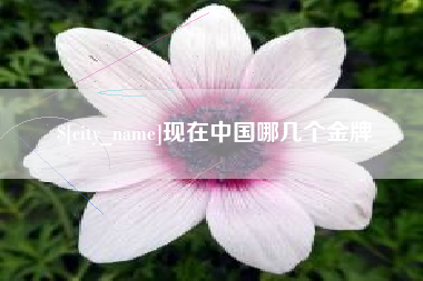 高唐现在中国哪几个金牌