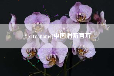 高唐中国消防官方