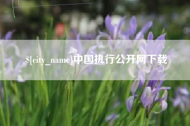 高唐中国执行公开网下载
